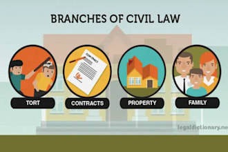 give civil and criminal litigation consultation