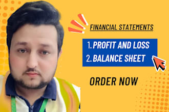 provide profit and loss, income statement, balance sheet