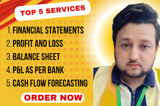 prepare balance sheet, financial statements, projection