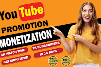 organically youtube video promotion with seo to million views
