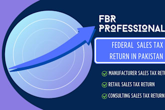 prepare and submit all fbr sales tax return in pakistan