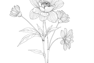 draw botanical and flower one line art illustration