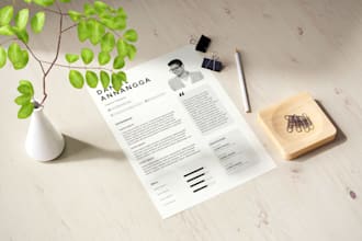 design a simple custom CV for you