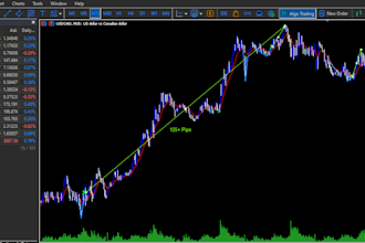 build your metatrader mt4 mt5 indicator or ea