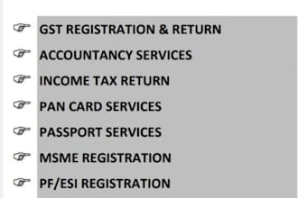 file your taxes and help with tax returns and consulting