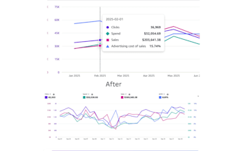 be your amazon PPC expert and account management