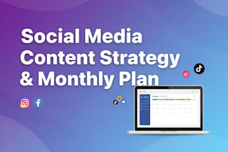do professional social media content strategy,   monthly plan