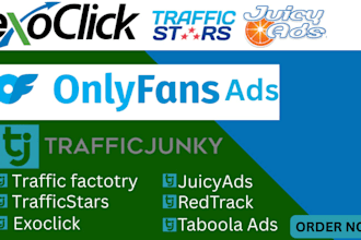 set up traffic junky and exoclick campaign for adult page