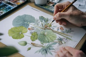 draw a digital botanical illustrations for your project