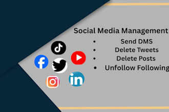 manage your social media accounts professionally