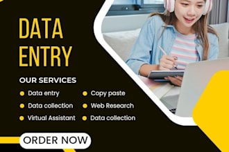 fast data entry fast delivery