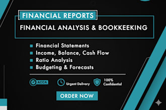 prepare financial statements, profit and loss and cashflows