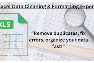 professionally clean, format, and remove duplicates from your excel data