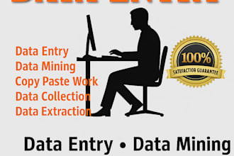 do fast and accurate data entry copy paste and typing work