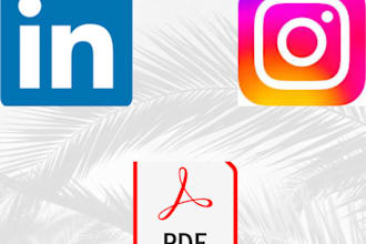 mini audit of instagram and linkedin account