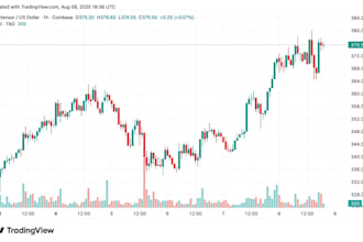 code trading forex eas bot expert advisor indicator robot on mt4 mt5 tradingview