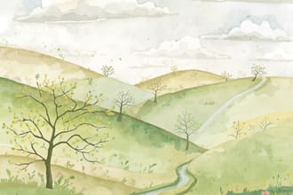 illustrate children story illustration KDP watercolor