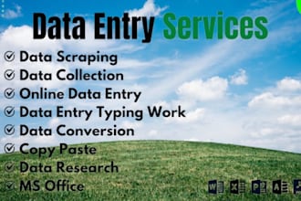 data entry, web research and spreadsheet management