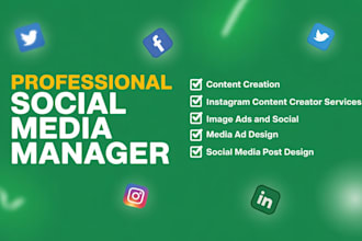 design posts and manage social media for local business