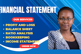 prepare germany financial statement, profit and loss, audit and projection