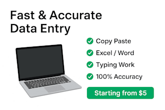 do fast and accurate data entry for you
