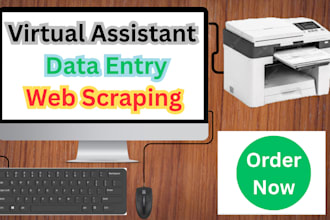 be your accurate and efficient data entry virtual assistant
