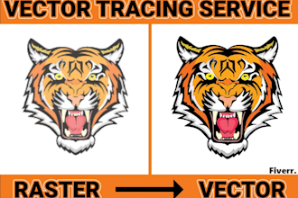 do vector tracing or convert to vector quickly