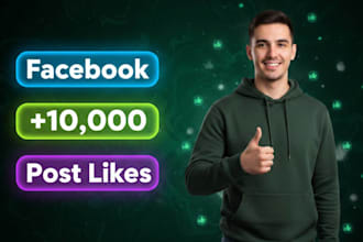 provide 1,000 facebook post likes