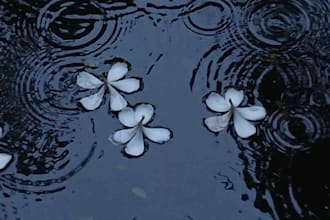 write a personalized short story for you