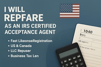 prepare and file your US tax return for llc or individual