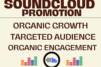 professional soundcloud grow 20,000 real soundcloud music listeners followers