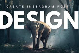 create instagram post design for an attractive feed