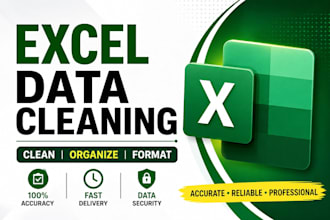 clean and organize your excel data professionally