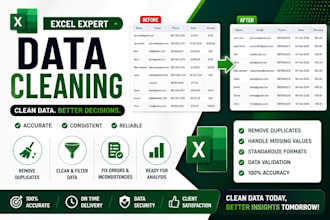 clean and organize your excel data professionally