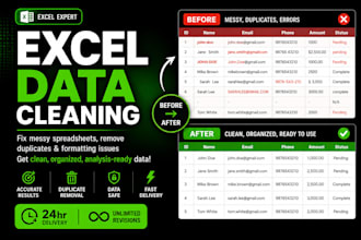 clean and organize your excel data professionally