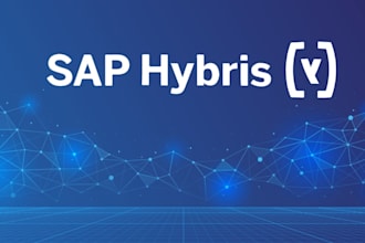 sap hybris development in customer service and order management modules