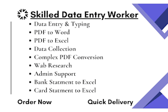 do excel, word, and PDF data entry and file conversion