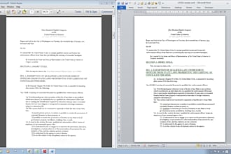 type your documents accurately in ms word or ms excel