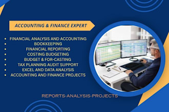 be your expert bookkeeper and financial analyst