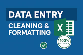 manage excel, google sheets, or database entries efficiently