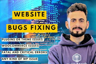 fix critical wordpress errors, wordpress bugs fixing
