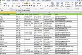 provide excel data cleaning, format, and data formatting