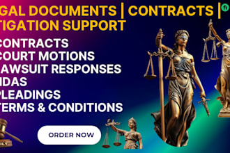 draft legal pleadings, affidavits, lawsuits and motions
