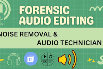 audio video forensic editing, background removal cleanup sound enhancement vocal