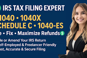 file and handle your irs form 1040, 1040 es, 1040 x schedule c tax return