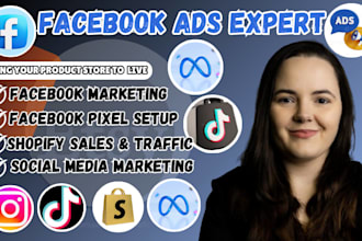 setup high converting meta german ads german facebook instagram ads shopify ads