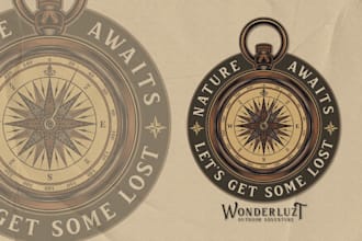 create high quality and beautiful compass logo design
