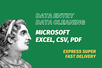 professionally clean and prepare your dataset for analysis