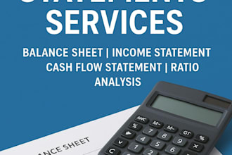 be your expert bookkeeper and financial analyst