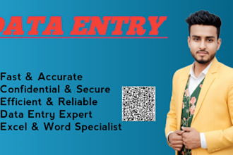 do fast accurate data entry professionally